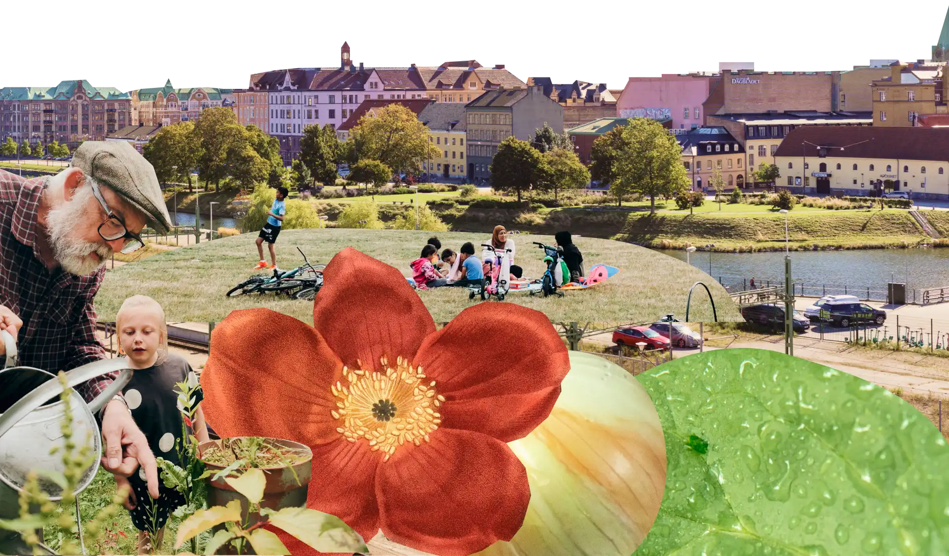 Urban Food revolution